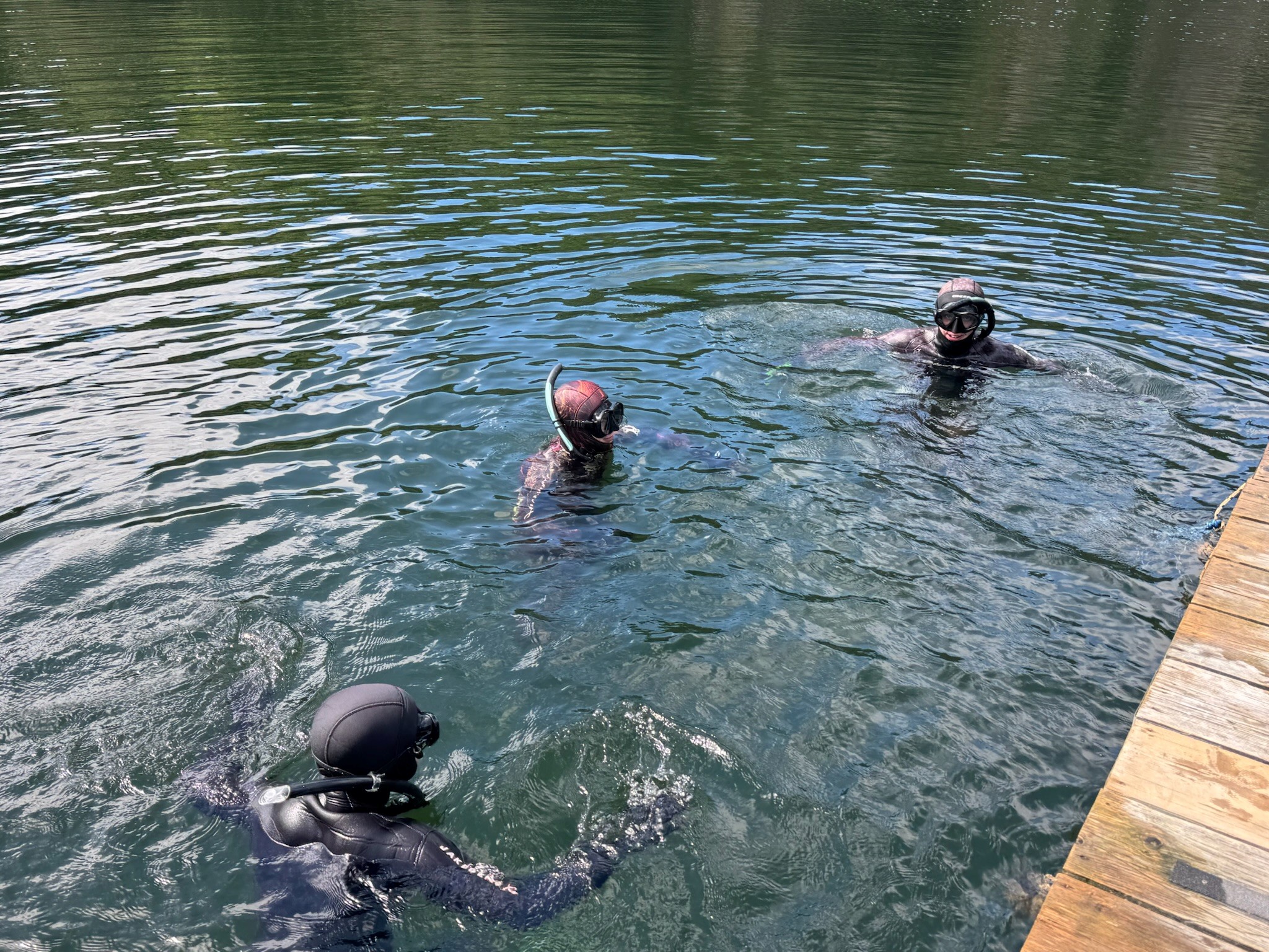 Pre-season chronicles: how freediving is shaping the GBS Freeski team’s preparations for the new season